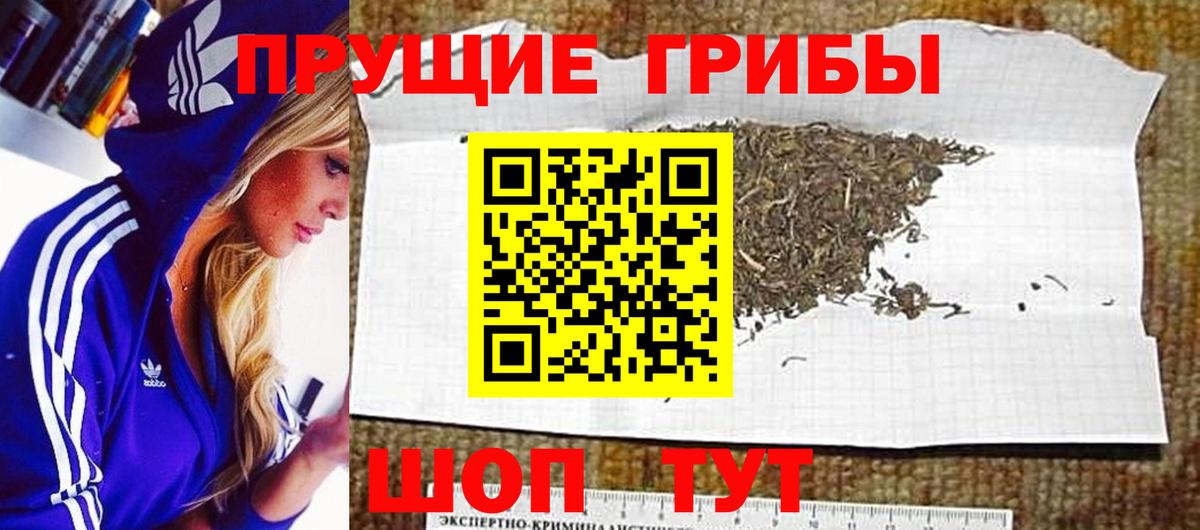 Сергиев Посад  Псилоцибиновые грибы ЛСД  Вход с VPN  Галлюциногенные грибы GOLDEN TEACHER 