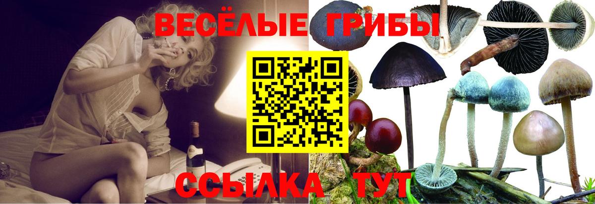 Псилоцибиновые грибы GOLDEN TEACHER Сергиев Посад